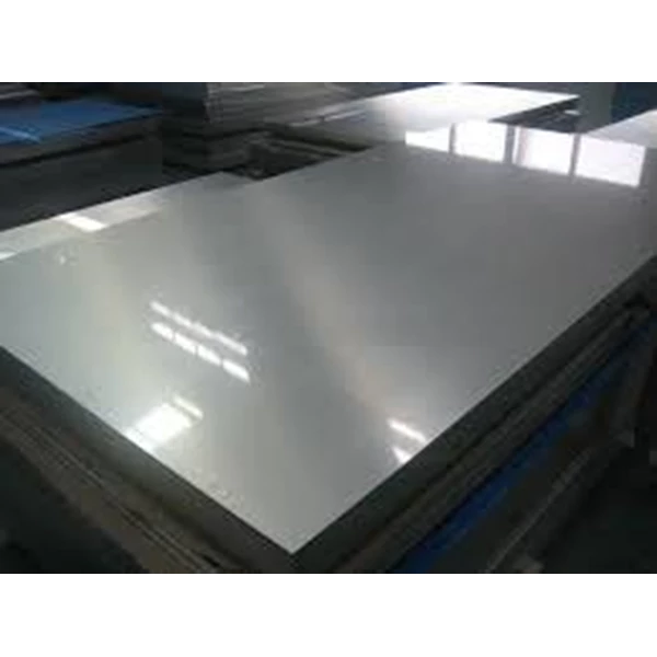 Stainless Plate Strip