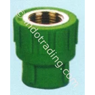 PPR Pipe Fitting Female Coupling Asialing 2