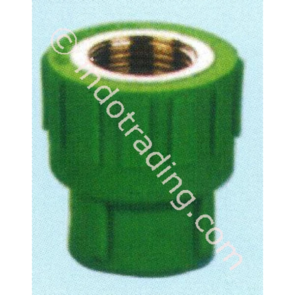 PPR Pipe Fitting Female Coupling Asialing